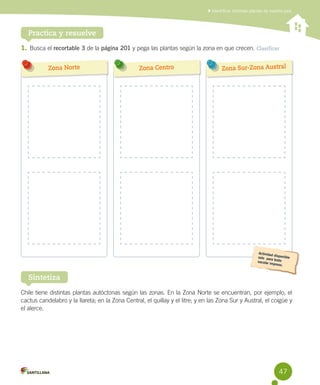 Identificar distintas plantas de nuestro país

Practica y resuelve
1. Busca el recortable 3 de la página 201 y pega las plantas según la zona en que crecen. Clasificar
Zona Norte

Zona Centro

Zona Sur-Zona Austral

Sintetiza
Chile tiene distintas plantas autóctonas según las zonas. En la Zona Norte se encuentran, por ejemplo, el
cactus candelabro y la llareta; en la Zona Central, el quillay y el litre; y en las Zona Sur y Austral, el coigüe y
el alerce.

47

 