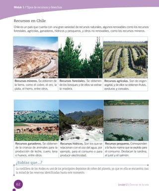 Módulo 1 / Tipos de recursos y desechos

Recursos en Chile
Chile es un país que cuenta con una gran variedad de recursos naturales, algunos renovables como los recursos
forestales, agrícolas, ganaderos, hídricos y pesqueros, y otros no renovables, como los recursos mineros.

Recursos mineros. Se obtienen de Recursos forestales. Se obtienen Recursos agrícolas. Son de origen
la tierra, como el cobre, el oro, la de los bosques y de ellos se extrae vegetal, y de ellos se obtienen frutas,
plata, el hierro, entre otros.
la madera.
verduras y cereales.

Recursos ganaderos. Se obtienen
de la crianza de animales para la
producción de leche, cuero, lana
o huevos, entre otros.

Recursos hídricos. Son los que se
relacionan con el uso del agua, por
ejemplo, para el consumo o para
producir electricidad.

Recursos pesqueros. Corresponden
a la fauna marina que se explota para
el consumo. Destacan la sardina,
el jurel y el salmón.

¿Sabías que...?
La cordillera de los Andes es uno de los principales depósitos de cobre del planeta, ya que en ella se encuentra casi
la mitad de las reservas identificadas hasta este momento.

62

Unidad 2 / Ciencias de la vida

 