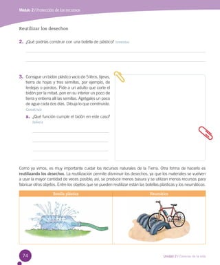 Módulo 2 / Protección de los recursos

Reutilizar los desechos

2.	 ¿Qué podrías construir con una botella de plástico? Inventar

3.	 Consigue un bidón plástico vacío de 5 litros, tijeras,
tierra de hojas y tres semillas, por ejemplo, de
lentejas o porotos. Pide a un adulto que corte el
bidón por la mitad, pon en su interior un poco de
tierra y entierra allí las semillas. Agrégales un poco
de agua cada dos días. Dibuja lo que construiste.
Construir

a.	 ¿Qué función cumple el bidón en este caso?
Inferir

Como ya vimos, es muy importante cuidar los recursos naturales de la Tierra. Otra forma de hacerlo es
reutilizando los desechos. La reutilización permite disminuir los desechos, ya que los materiales se vuelven
a usar la mayor cantidad de veces posible; así, se produce menos basura y se utilizan menos recursos para
fabricar otros objetos. Entre los objetos que se pueden reutilizar están las botellas plásticas y los neumáticos.
Botella plástica

74

Neumático

Unidad 2 / Ciencias de la vida

 