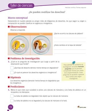 Taller de ciencias

Habilidad científica: Plantear preguntas

¿Se pueden reutilizar los desechos?

Marco conceptual
Diariamente en nuestro planeta se arrojan miles de kilógramos de desechos, los que según su origen o
composición se pueden clasificar en orgánicos e inorgánicos.

	Observaciones
	

Observa y responde.
Día 1

Día 3

¿Qué le ocurrió a la cáscara de plátano?

¿Hubo cambios en la tapa de bebida?

	Problema de investigación
1.	 ¿Cuál es la pregunta de investigación que surge a partir de la
observación que hiciste?
¿Qué tipo de desecho demora menos tiempo en degradarse?
¿En qué se parecen los desechos orgánicos e inorgánicos?

	Hipótesis
	

Para plantear un problema de
investigación necesitas formular
preguntas que te permitan
comprender hechos por medio
de la experimentación. Estas
preguntas te ayudarán a generar
otras nuevas para seguir
investigando.

Los desechos orgánicos demoran menos tiempo en degradarse que
los inorgánicos.

	Predicciones
1.	 Marca lo que crees que sucederá si pones una cáscara de manzana y una bolsa de plástico en un
recipiente a la intemperie.
La bolsa de plástico se degradará más rápido que la cáscara de manzana.
La bolsa de plástico no se degradará y la cáscara de manzana sí lo hará.

78

 