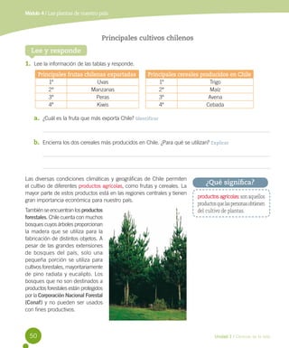 Módulo 4 / Las plantas de nuestro país

Principales cultivos chilenos
Lee y responde
1.	 Lee la información de las tablas ...