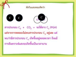 คัลวินและคณะคิดว่า
สารประกอบ C2 + CO2 = จะได้สาร C3 (PGA)
แต่จากการทดลองไม่พบสารประกอบ C2 อยู่เลย แต่
พบว่ามีสารประกอบ C5 เกิดขึ้นอยู่ตลอดเวลา ถึงแม้
การสังเคราะห์แสงจะเกิดขึ้นเป็นเวลานาน
C C O O
C
 