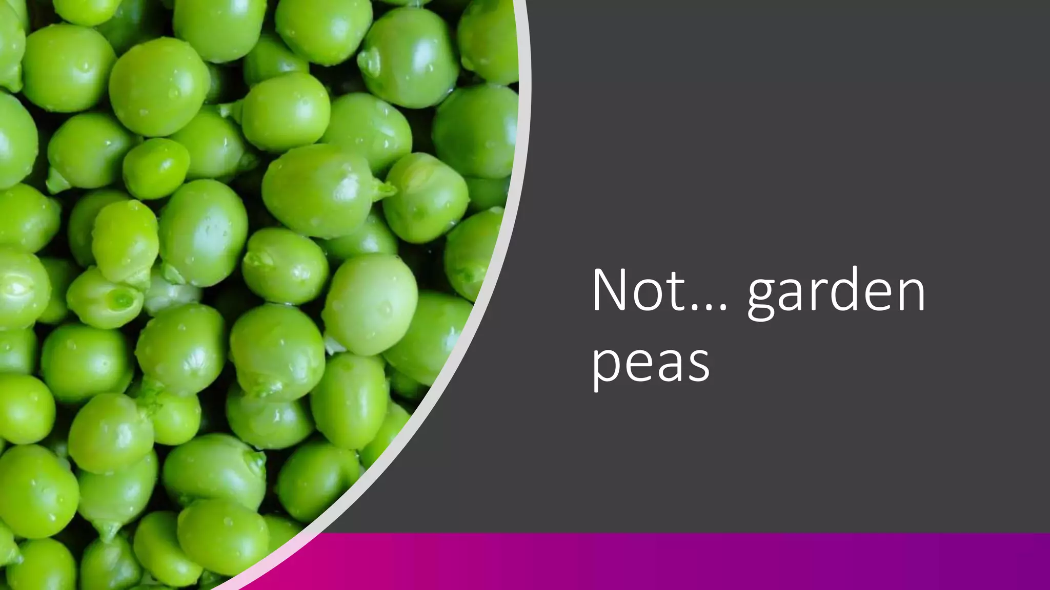 Not… garden
peas
 
