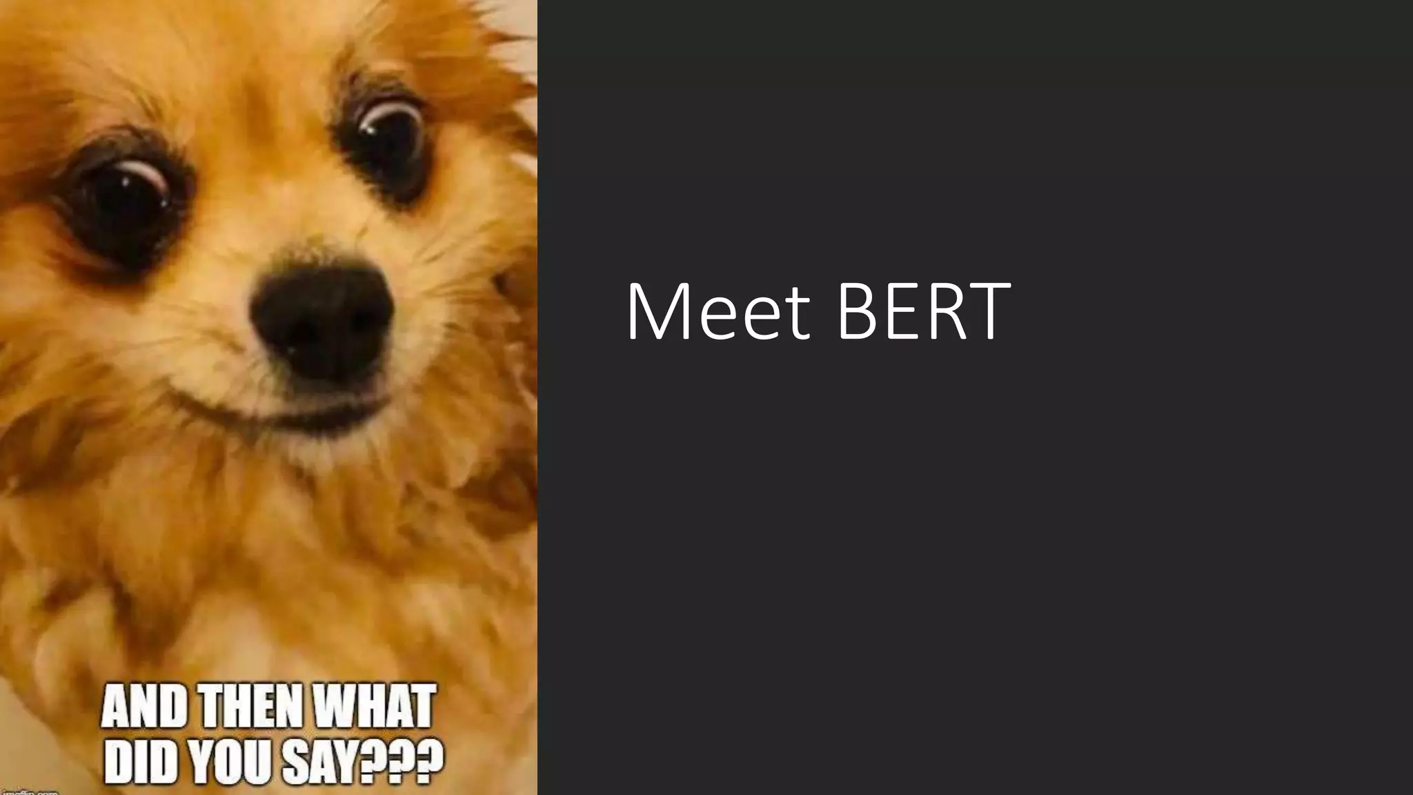 Meet BERT
 