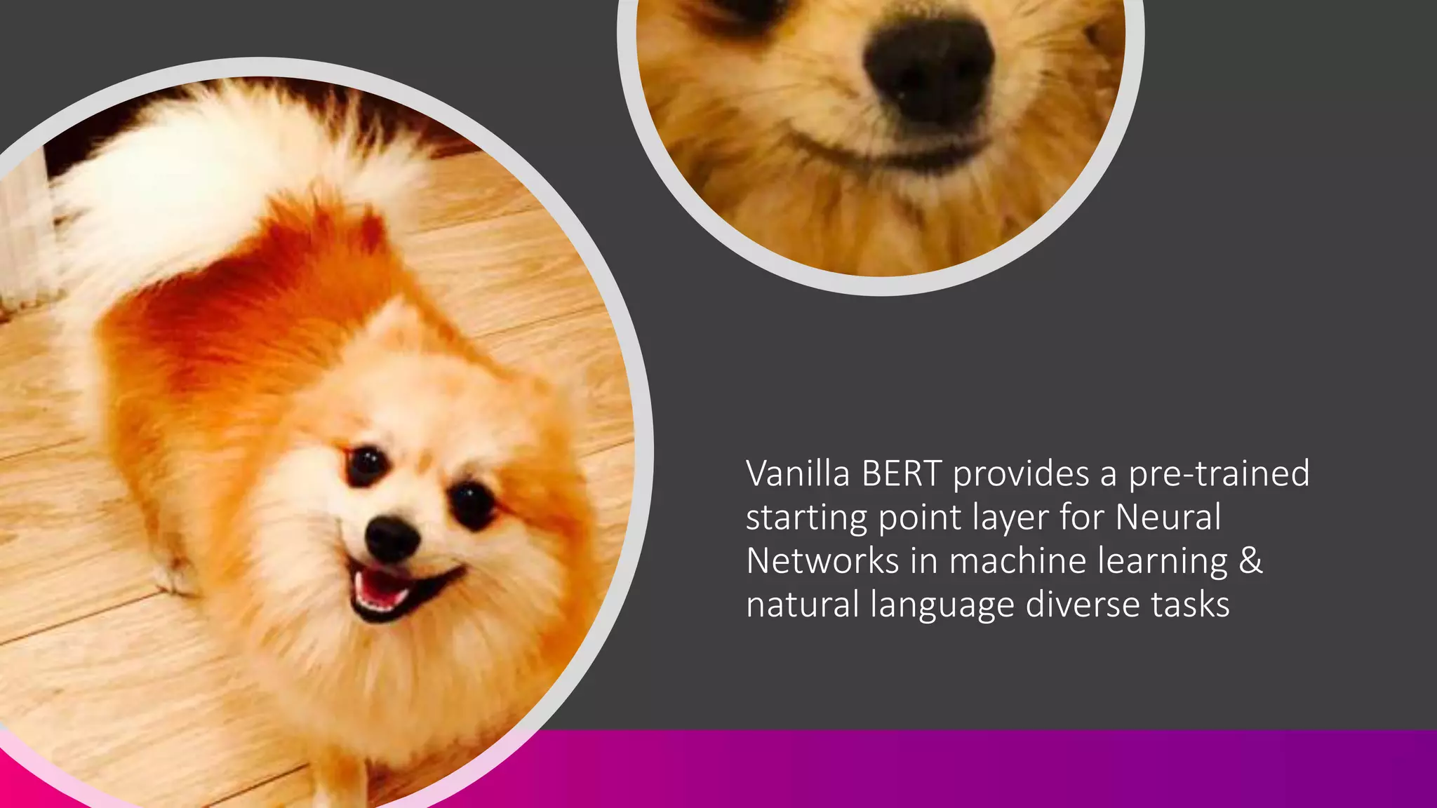Vanilla BERT provides a pre-trained
starting point layer for Neural
Networks in machine learning &
natural language diverse tasks
 