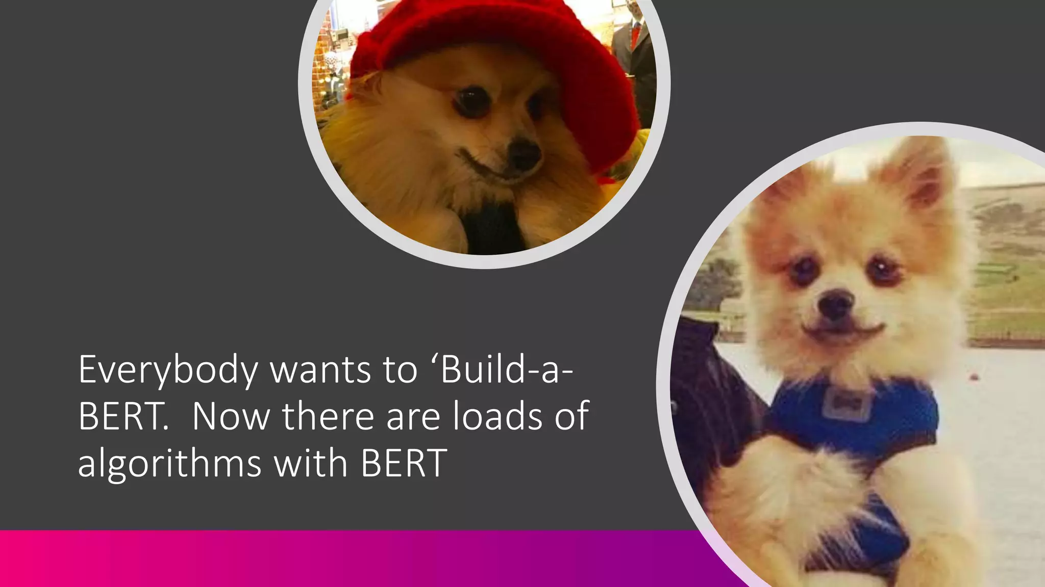 Everybody wants to ‘Build-a-
BERT. Now there are loads of
algorithms with BERT
 