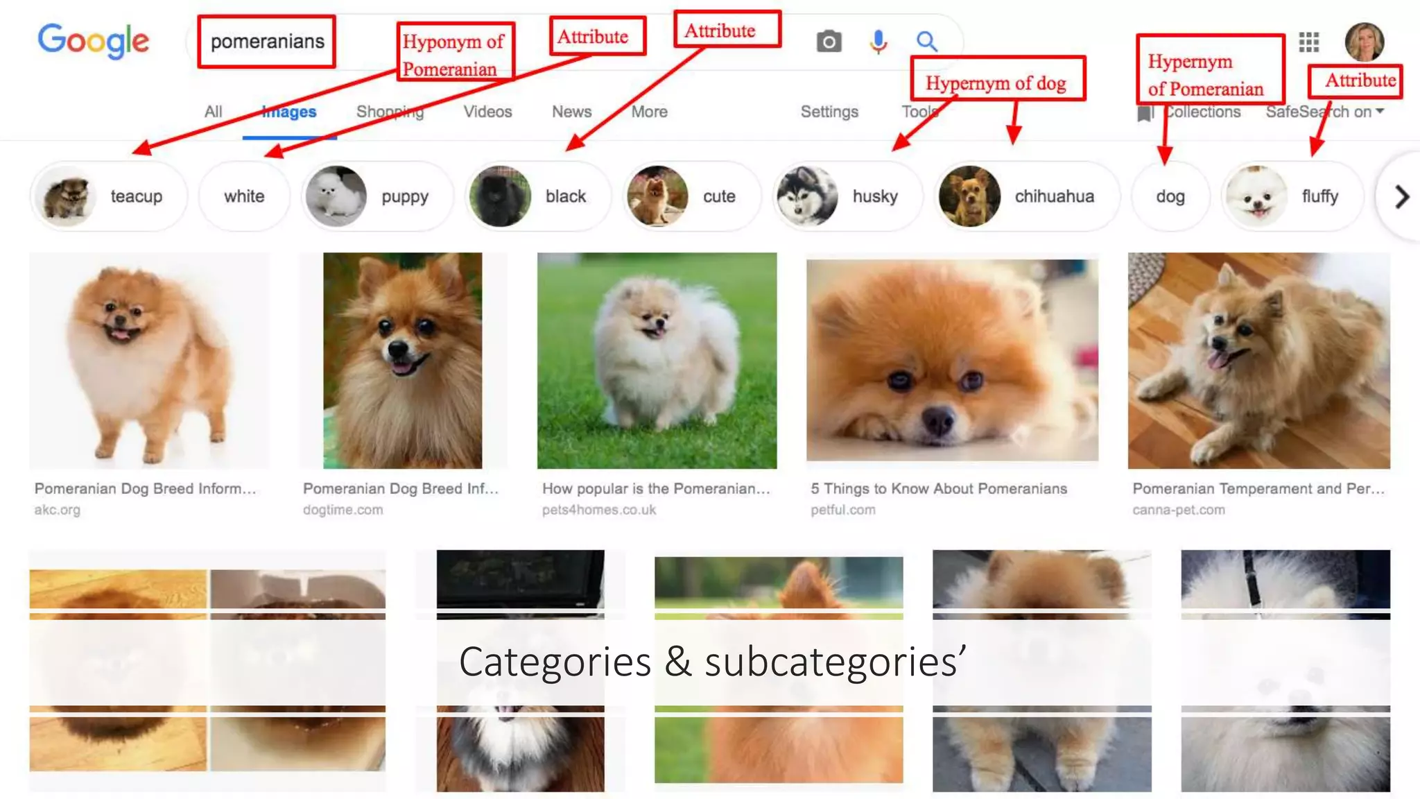 Categories & subcategories’
 