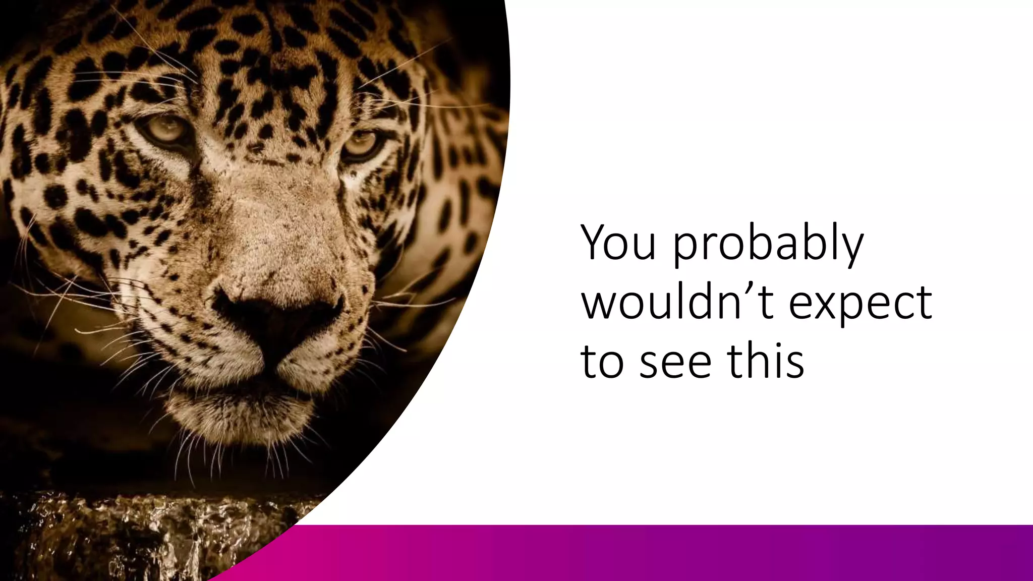 You probably
wouldn’t expect
to see this
 