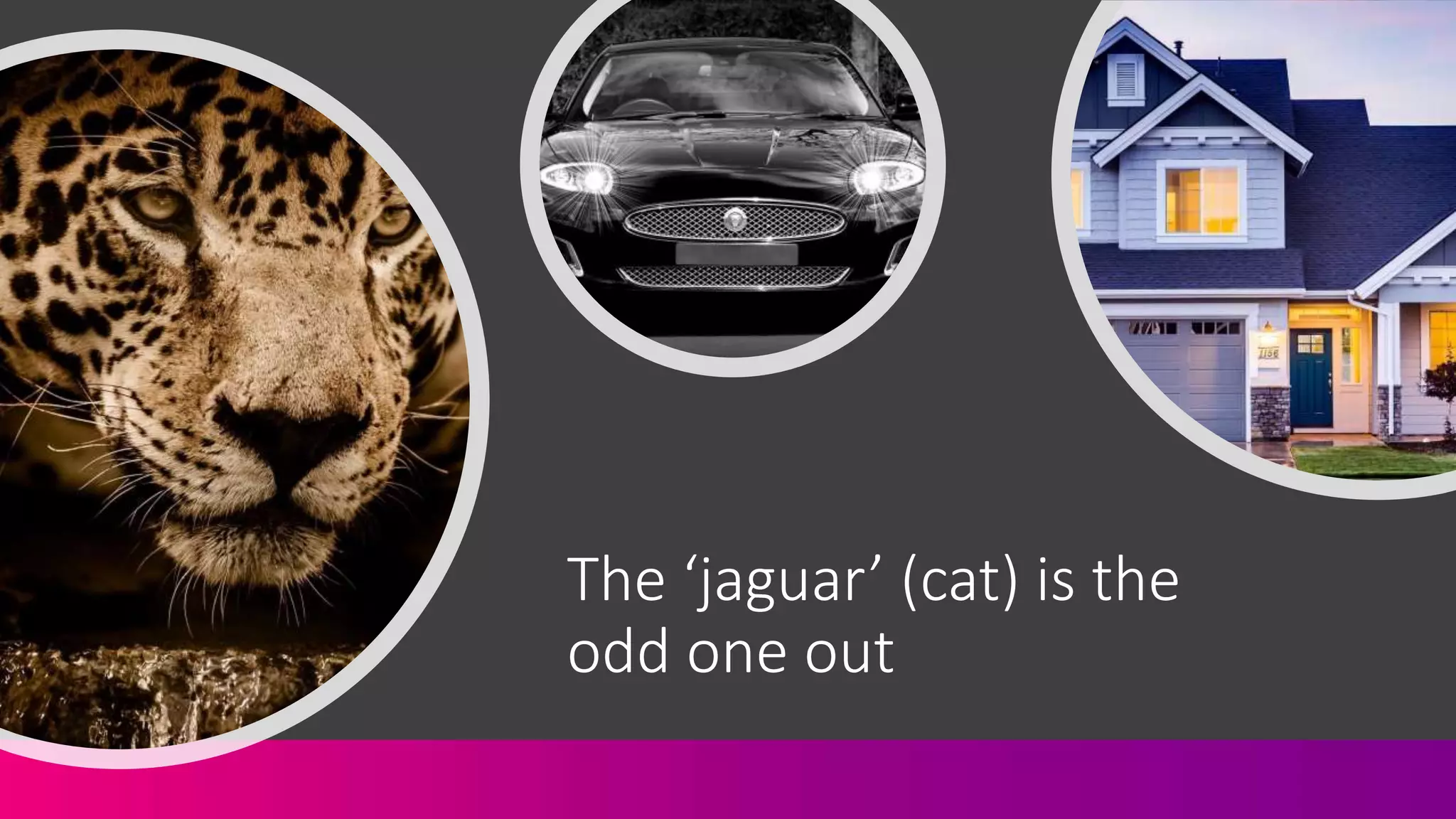 The ‘jaguar’ (cat) is the
odd one out
 