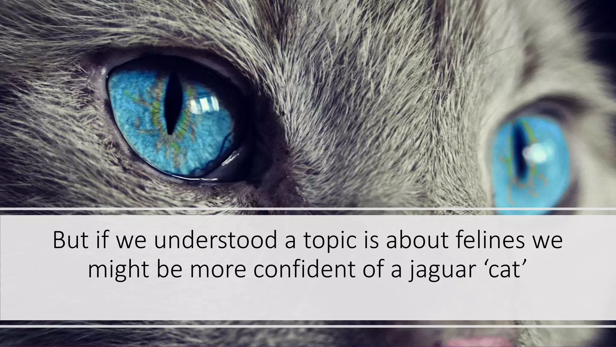 But if we understood a topic is about felines we
might be more confident of a jaguar ‘cat’
 