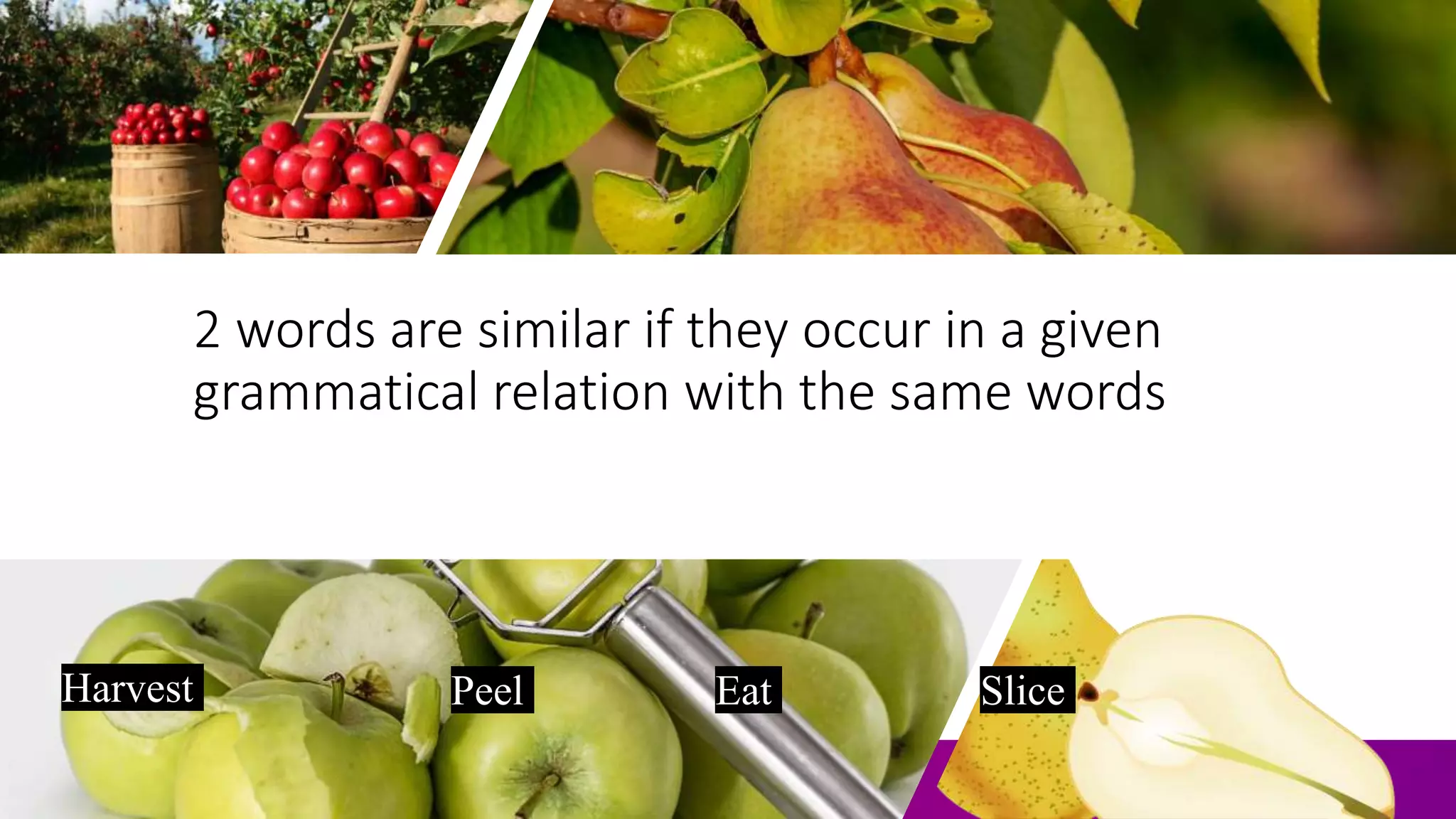 2 words are similar if they occur in a given
grammatical relation with the same words
Harvest Peel Eat Slice
 