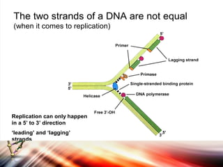 Gene Expresssion | PDF