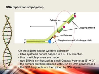 Gene Expresssion | PDF
