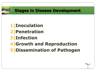 Stages in Disease Development

1)Inoculation
2)Penetration
3)Infection
4)Growth and Reproduction
5)Dissemination of Pathogen

 