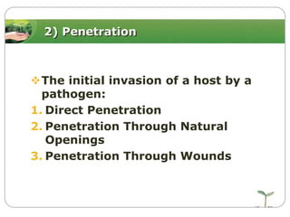 2) Penetration

The initial invasion of a host by a
pathogen:
1. Direct Penetration
2. Penetration Through Natural
Openings
3. Penetration Through Wounds

 
