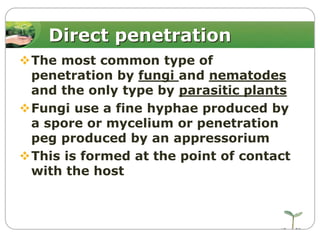 Direct penetration
The most common type of
penetration by fungi and nematodes
and the only type by parasitic plants
Fungi use a fine hyphae produced by
a spore or mycelium or penetration
peg produced by an appressorium
This is formed at the point of contact
with the host

 