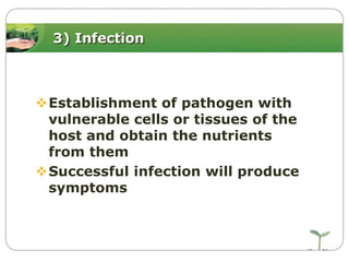 3) Infection

Establishment of pathogen with
vulnerable cells or tissues of the
host and obtain the nutrients
from them
Successful infection will produce
symptoms

 