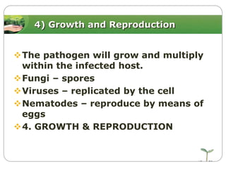 4) Growth and Reproduction

The pathogen will grow and multiply
within the infected host.
Fungi – spores
Viruses – replicated by the cell
Nematodes – reproduce by means of
eggs
4. GROWTH & REPRODUCTION

 
