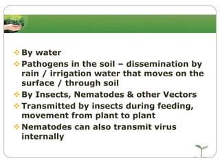  By water
 Pathogens in the soil – dissemination by
rain / irrigation water that moves on the
surface / through soil
 By Insects, Nematodes & other Vectors
 Transmitted by insects during feeding,
movement from plant to plant
 Nematodes can also transmit virus
internally

 