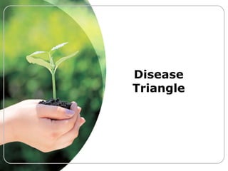 Disease
Triangle

 