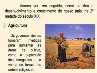 Vamos ver, em seguida, como se deu o
desenvolvimento e crescimento do nosso país, na 2ª
metade do século XIX.

I) Agricultura

    Os governos liberais
  tomaram       medidas
  para aumentar as
  áreas de cultivo,
  como a supressão
  dos morgadios e a
  venda de terras das
  ordens religiosas.
 