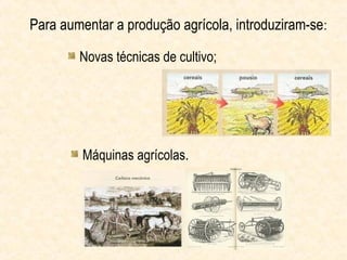 Para aumentar a produção agrícola, introduziram-se :

        Novas técnicas de cultivo;




         Máquinas agrícolas.
 