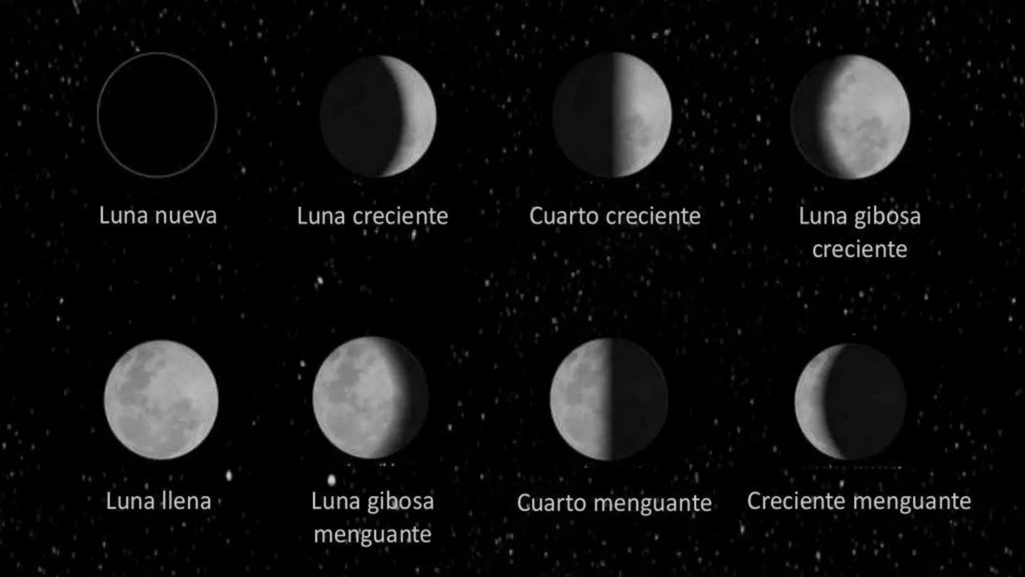 In Che Fase è La Luna C3-semana-16-Material-de-Apoyo-Fases-de-la-luna.pdf