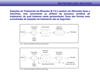BIOTECNOLOGIA APLICADA
Estações de Tratamento de Efluentes (E.T.E.) existem em diferentes tipos e
tamanhos, mas comumente se utilizam de processo aeróbico de
tratamento, do qual tratamos nesta apresentação. Duas das formas mais
encontradas de estações de tratamento são as seguintes:
Decantador Lagoa Aerada Lagoa de
Primário Decantação
* * *
Fábrica * * Descarga
* * *
* *
Rejeito
Sólido
Fig. 1 - Desenho esquemático do Sistema de Lagoa Aerada.
Tanque de
Decantador Aeração Decantador
Primário Secundário
* * *
Fábrica * * Descarga
* * *
* *
Descarga de
Rejeito Recirculação de Lôdo Excesso de Lôdo
Sólido
Fig. 2 - Desenho esquemático do Sistema de Lôdo Ativado.
 