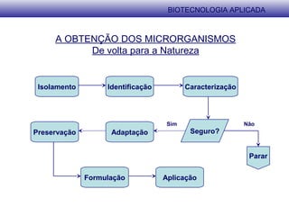 A OBTENÇÃO DOS MICRORGANISMOS
De volta para a Natureza
Isolamento Identificação Caracterização
Seguro?
Parar
AdaptaçãoPreservação
Formulação Aplicação
Sim Não
BIOTECNOLOGIA APLICADA
 