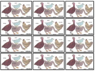 C301AGC
C301AGC
C301AGC
C301AGC
C301AGC
C301AGC
C301AGC
C301AGC
C301AGC
C301AGC
C301AGC
C301AGC