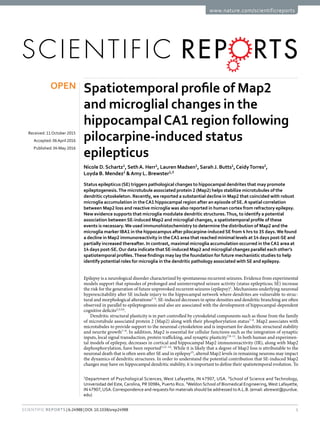 1Scientific Reports | 6:24988 | DOI: 10.1038/srep24988
www.nature.com/scientificreports
Spatiotemporal profile of Map2
and microglial changes in the
hippocampalCA1 region following
pilocarpine-induced status
epilepticus
Nicole D. Schartz1
, Seth A. Herr1
, Lauren Madsen1
, Sarah J. Butts1
,Ceidy Torres2
,
Loyda B. Mendez2
&Amy L. Brewster1,3
Status epilepticus (SE) triggers pathological changes to hippocampal dendrites that may promote
epileptogenesis.The microtubule associated protein 2 (Map2) helps stabilize microtubules of the
dendritic cytoskeleton. Recently, we reported a substantial decline in Map2 that coincided with robust
microglia accumulation in theCA1 hippocampal region after an episode of SE.A spatial correlation
between Map2 loss and reactive microglia was also reported in human cortex from refractory epilepsy.
New evidence supports that microglia modulate dendritic structures.Thus, to identify a potential
association between SE-induced Map2 and microglial changes, a spatiotemporal profile of these
events is necessary.We used immunohistochemistry to determine the distribution of Map2 and the
microglia marker IBA1 in the hippocampus after pilocarpine-induced SE from 4 hrs to 35 days.We found
a decline in Map2 immunoreactivity in theCA1 area that reached minimal levels at 14 days post-SE and
partially increased thereafter. In contrast, maximal microglia accumulation occurred in theCA1 area at
14 days post-SE.Our data indicate that SE-induced Map2 and microglial changes parallel each other’s
spatiotemporal profiles.These findings may lay the foundation for future mechanistic studies to help
identify potential roles for microglia in the dendritic pathology associated with SE and epilepsy.
Epilepsy is a neurological disorder characterized by spontaneous recurrent seizures. Evidence from experimental
models support that episodes of prolonged and uninterrupted seizure activity (status epilepticus; SE) increase
the risk for the generation of future unprovoked recurrent seizures (epilepsy)1
. Mechanisms underlying neuronal
hyperexcitability after SE include injury to the hippocampal network where dendrites are vulnerable to struc-
tural and morphological alterations2–4
. SE-induced decreases in spine densities and dendritic branching are often
observed in parallel to epileptogenesis and also are associated with the development of hippocampal-dependent
cognitive deficits2,3,5,6
.
Dendritic structural plasticity is in part controlled by cytoskeletal components such as those from the family
of microtubule associated protein 2 (Map2) along with their phosphorylation status7–9
. Map2 associates with
microtubules to provide support to the neuronal cytoskeleton and is important for dendritic structural stability
and neurite growth7–9
. In addition, Map2 is essential for cellular functions such as the integration of synaptic
inputs, local signal transduction, protein trafficking, and synaptic plasticity7,9–11
. In both human and experimen-
tal models of epilepsy, decreases in cortical and hippocampal Map2 immunoreactivity (IR), along with Map2
dephosphorylation, have been reported5,12–14
. While it is likely that a degree of Map2 loss is attributable to the
neuronal death that is often seen after SE and in epilepsy15
, altered Map2 levels in remaining neurons may impact
the dynamics of dendritic structures. In order to understand the potential contribution that SE-induced Map2
changes may have on hippocampal dendritic stability, it is important to define their spatiotemporal evolution. To
1
Department of Psychological Sciences, West Lafayette, IN 47907, USA. 2
School of Science and Technology,
Universidad del Este, Carolina, PR 00984, Puerto Rico. 3
Weldon School of Biomedical Engineering,West Lafayette,
IN 47907,USA.Correspondence and requests for materials should be addressed toA.L.B. (email: abrewst@purdue.
edu)
received: 11October 2015
accepted: 06April 2016
Published: 04 May 2016
OPEN
 