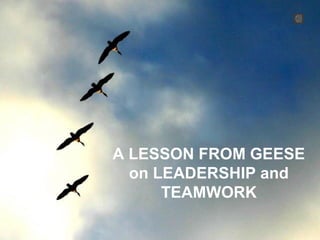 A LESSON FROM GEESE
on LEADERSHIP and
TEAMWORK
 