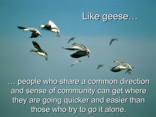 …… people who share a common directionpeople who share a common direction
and sense of community can get whereand sense of community can get where
they are going quicker and easier thanthey are going quicker and easier than
those who try to go it alone.those who try to go it alone.
Like geese…Like geese…
 