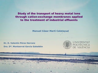 Study of the transport of heavy metal ions 
through cation-exchange membranes applied 
to the treatment of industrial effluents 
Manuel César Martí Calatayud 
Dr. D. Valentín Pérez Herranz 
Dra. Dª. Montserrat García Gabaldón 
 