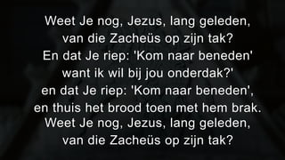 Weet Je nog, Jezus, lang geleden, 
van die Zacheüs op zijn tak? 
En dat Je riep: 'Kom naar beneden' 
want ik wil bij jou onderdak?' 
en dat Je riep: 'Kom naar beneden', 
en thuis het brood toen met hem brak. 
Weet Je nog, Jezus, lang geleden, 
van die Zacheüs op zijn tak? 
 