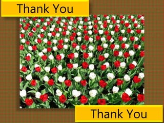 Thank You
Thank You
 
