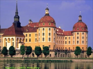 Magnífico Castillo Moritzburg 