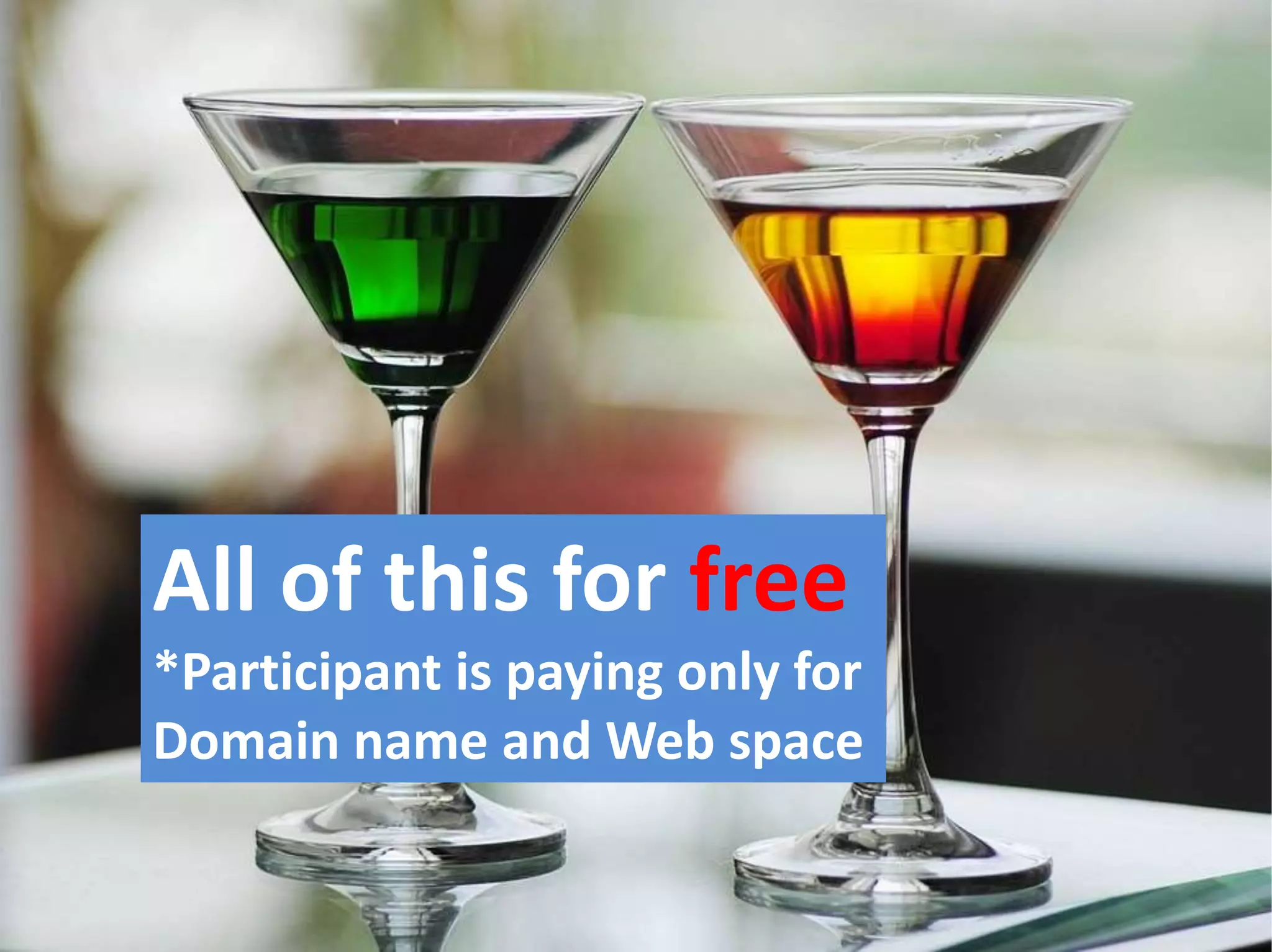 All of this for free
*Participant is paying only for
Domain name and Web space
 
