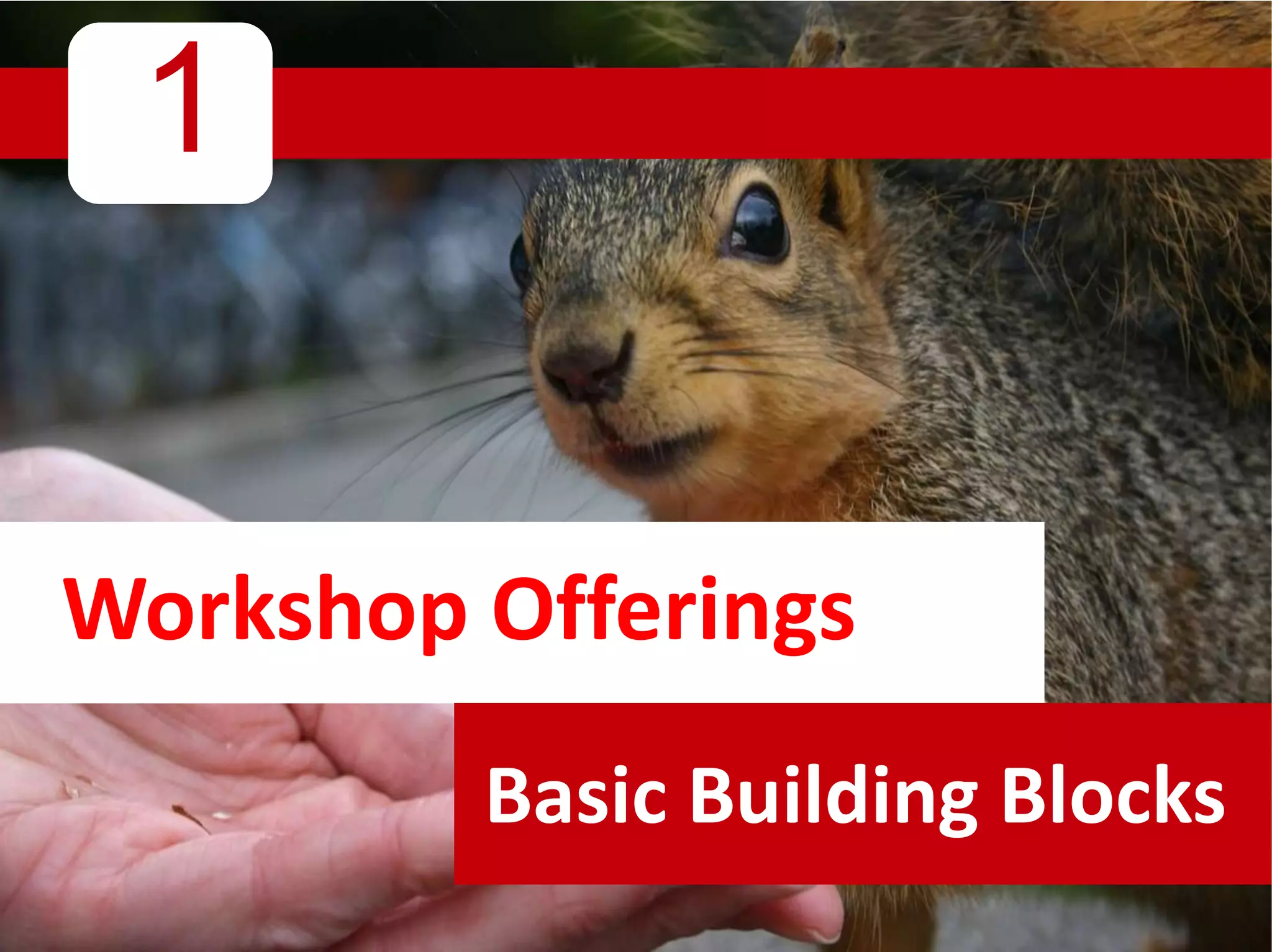 1
Workshop Offerings
Basic Building Blocks
 
