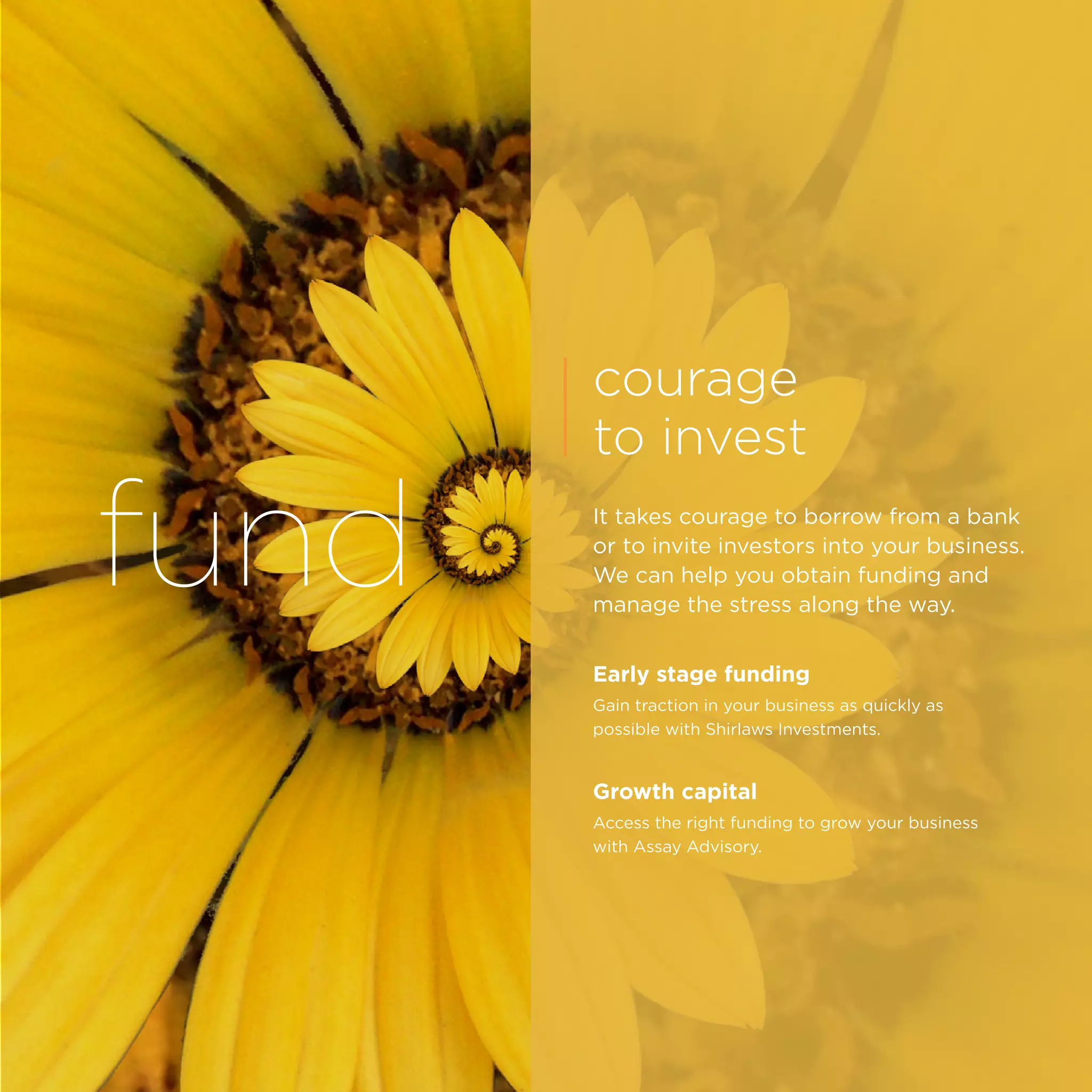 fund
courage
to invest
It takes courage to borrow from a bank
or to invite investors into your business.
We can help you obtain funding and
manage the stress along the way.
Early stage funding
Gain traction in your business as quickly as
possible with Shirlaws Investments.
Growth capital
Access the right funding to grow your business
with Assay Advisory.
 