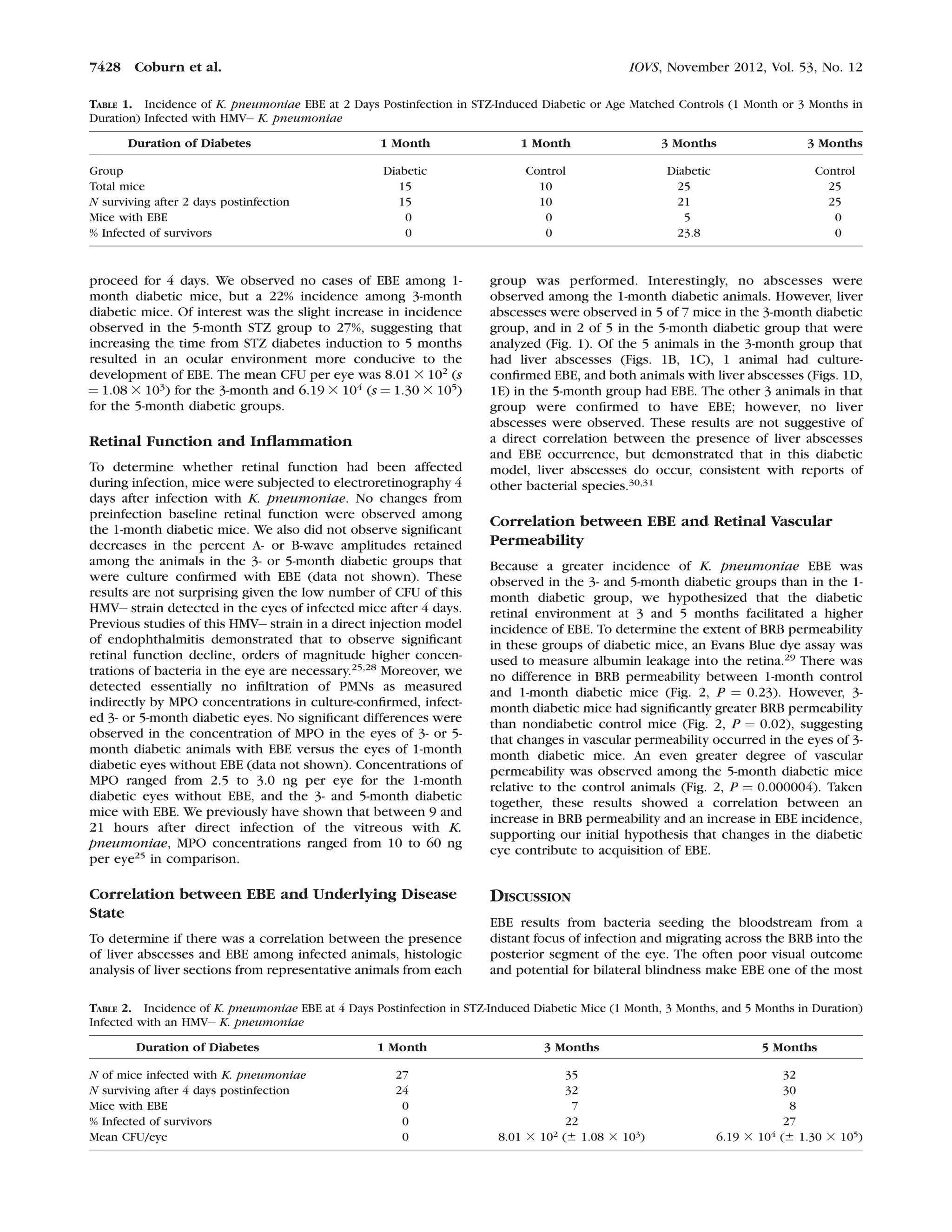 proceed for 4 days. We observed no cases of EBE among 1-
month diabetic mice, but a 22% incidence among 3-month
diabetic mice. Of interest was the slight increase in incidence
observed in the 5-month STZ group to 27%, suggesting that
increasing the time from STZ diabetes induction to 5 months
resulted in an ocular environment more conducive to the
development of EBE. The mean CFU per eye was 8.01 3 102
(s
¼ 1.08 3 103) for the 3-month and 6.19 3 104 (s ¼ 1.30 3 105)
for the 5-month diabetic groups.
Retinal Function and Inﬂammation
To determine whether retinal function had been affected
during infection, mice were subjected to electroretinography 4
days after infection with K. pneumoniae. No changes from
preinfection baseline retinal function were observed among
the 1-month diabetic mice. We also did not observe signiﬁcant
decreases in the percent A- or B-wave amplitudes retained
among the animals in the 3- or 5-month diabetic groups that
were culture conﬁrmed with EBE (data not shown). These
results are not surprising given the low number of CFU of this
HMVÀ strain detected in the eyes of infected mice after 4 days.
Previous studies of this HMVÀ strain in a direct injection model
of endophthalmitis demonstrated that to observe signiﬁcant
retinal function decline, orders of magnitude higher concen-
trations of bacteria in the eye are necessary.25,28
Moreover, we
detected essentially no inﬁltration of PMNs as measured
indirectly by MPO concentrations in culture-conﬁrmed, infect-
ed 3- or 5-month diabetic eyes. No signiﬁcant differences were
observed in the concentration of MPO in the eyes of 3- or 5-
month diabetic animals with EBE versus the eyes of 1-month
diabetic eyes without EBE (data not shown). Concentrations of
MPO ranged from 2.5 to 3.0 ng per eye for the 1-month
diabetic eyes without EBE, and the 3- and 5-month diabetic
mice with EBE. We previously have shown that between 9 and
21 hours after direct infection of the vitreous with K.
pneumoniae, MPO concentrations ranged from 10 to 60 ng
per eye25
in comparison.
Correlation between EBE and Underlying Disease
State
To determine if there was a correlation between the presence
of liver abscesses and EBE among infected animals, histologic
analysis of liver sections from representative animals from each
group was performed. Interestingly, no abscesses were
observed among the 1-month diabetic animals. However, liver
abscesses were observed in 5 of 7 mice in the 3-month diabetic
group, and in 2 of 5 in the 5-month diabetic group that were
analyzed (Fig. 1). Of the 5 animals in the 3-month group that
had liver abscesses (Figs. 1B, 1C), 1 animal had culture-
conﬁrmed EBE, and both animals with liver abscesses (Figs. 1D,
1E) in the 5-month group had EBE. The other 3 animals in that
group were conﬁrmed to have EBE; however, no liver
abscesses were observed. These results are not suggestive of
a direct correlation between the presence of liver abscesses
and EBE occurrence, but demonstrated that in this diabetic
model, liver abscesses do occur, consistent with reports of
other bacterial species.30,31
Correlation between EBE and Retinal Vascular
Permeability
Because a greater incidence of K. pneumoniae EBE was
observed in the 3- and 5-month diabetic groups than in the 1-
month diabetic group, we hypothesized that the diabetic
retinal environment at 3 and 5 months facilitated a higher
incidence of EBE. To determine the extent of BRB permeability
in these groups of diabetic mice, an Evans Blue dye assay was
used to measure albumin leakage into the retina.29 There was
no difference in BRB permeability between 1-month control
and 1-month diabetic mice (Fig. 2, P ¼ 0.23). However, 3-
month diabetic mice had signiﬁcantly greater BRB permeability
than nondiabetic control mice (Fig. 2, P ¼ 0.02), suggesting
that changes in vascular permeability occurred in the eyes of 3-
month diabetic mice. An even greater degree of vascular
permeability was observed among the 5-month diabetic mice
relative to the control animals (Fig. 2, P ¼ 0.000004). Taken
together, these results showed a correlation between an
increase in BRB permeability and an increase in EBE incidence,
supporting our initial hypothesis that changes in the diabetic
eye contribute to acquisition of EBE.
DISCUSSION
EBE results from bacteria seeding the bloodstream from a
distant focus of infection and migrating across the BRB into the
posterior segment of the eye. The often poor visual outcome
and potential for bilateral blindness make EBE one of the most
TABLE 2. Incidence of K. pneumoniae EBE at 4 Days Postinfection in STZ-Induced Diabetic Mice (1 Month, 3 Months, and 5 Months in Duration)
Infected with an HMVÀ K. pneumoniae
Duration of Diabetes 1 Month 3 Months 5 Months
N of mice infected with K. pneumoniae 27 35 32
N surviving after 4 days postinfection 24 32 30
Mice with EBE 0 7 8
% Infected of survivors 0 22 27
Mean CFU/eye 0 8.01 3 102 (6 1.08 3 103) 6.19 3 104 (6 1.30 3 105)
TABLE 1. Incidence of K. pneumoniae EBE at 2 Days Postinfection in STZ-Induced Diabetic or Age Matched Controls (1 Month or 3 Months in
Duration) Infected with HMVÀ K. pneumoniae
Duration of Diabetes 1 Month 1 Month 3 Months 3 Months
Group Diabetic Control Diabetic Control
Total mice 15 10 25 25
N surviving after 2 days postinfection 15 10 21 25
Mice with EBE 0 0 5 0
% Infected of survivors 0 0 23.8 0
7428 Coburn et al. IOVS, November 2012, Vol. 53, No. 12
 