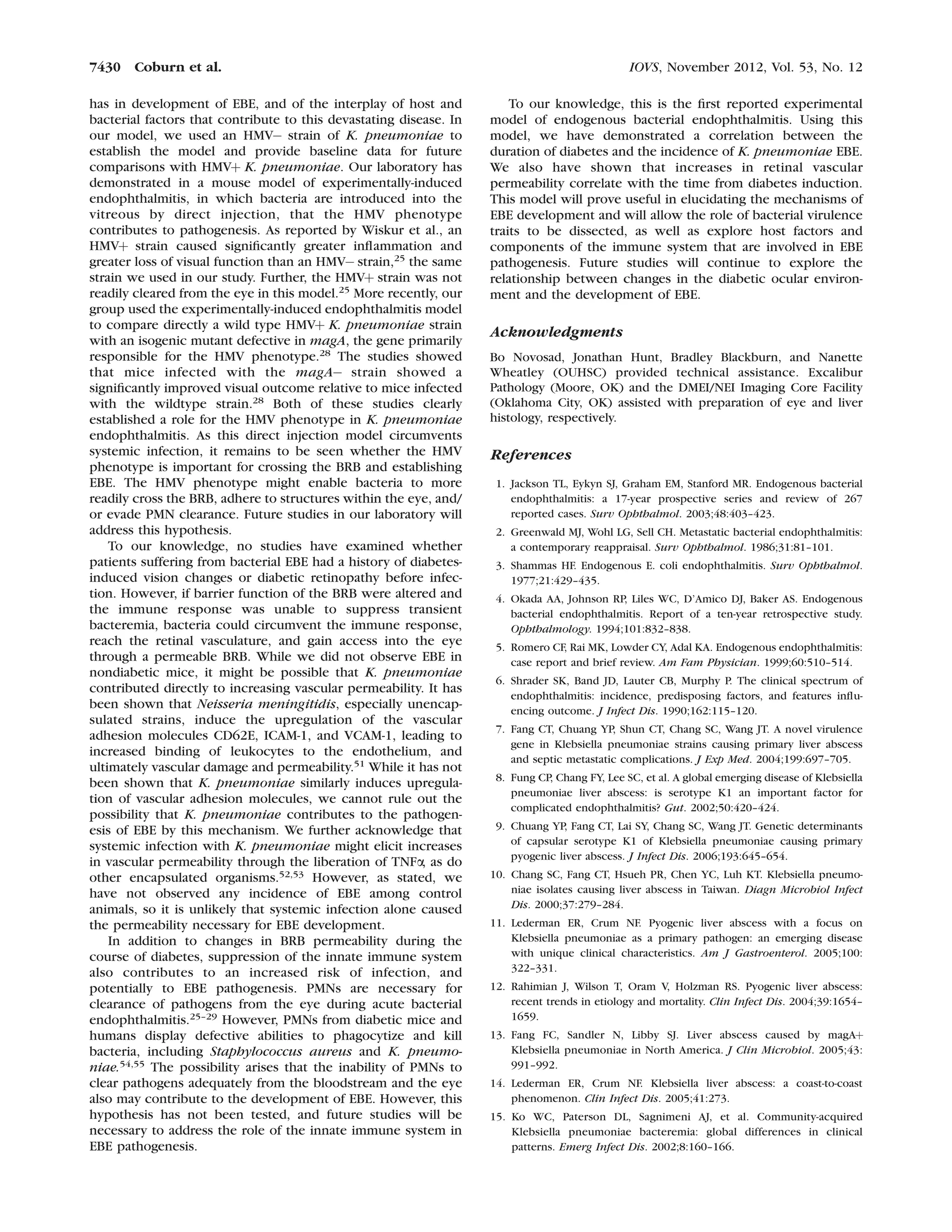has in development of EBE, and of the interplay of host and
bacterial factors that contribute to this devastating disease. In
our model, we used an HMVÀ strain of K. pneumoniae to
establish the model and provide baseline data for future
comparisons with HMVþ K. pneumoniae. Our laboratory has
demonstrated in a mouse model of experimentally-induced
endophthalmitis, in which bacteria are introduced into the
vitreous by direct injection, that the HMV phenotype
contributes to pathogenesis. As reported by Wiskur et al., an
HMVþ strain caused signiﬁcantly greater inﬂammation and
greater loss of visual function than an HMVÀ strain,25
the same
strain we used in our study. Further, the HMVþ strain was not
readily cleared from the eye in this model.25
More recently, our
group used the experimentally-induced endophthalmitis model
to compare directly a wild type HMVþ K. pneumoniae strain
with an isogenic mutant defective in magA, the gene primarily
responsible for the HMV phenotype.28
The studies showed
that mice infected with the magAÀ strain showed a
signiﬁcantly improved visual outcome relative to mice infected
with the wildtype strain.28
Both of these studies clearly
established a role for the HMV phenotype in K. pneumoniae
endophthalmitis. As this direct injection model circumvents
systemic infection, it remains to be seen whether the HMV
phenotype is important for crossing the BRB and establishing
EBE. The HMV phenotype might enable bacteria to more
readily cross the BRB, adhere to structures within the eye, and/
or evade PMN clearance. Future studies in our laboratory will
address this hypothesis.
To our knowledge, no studies have examined whether
patients suffering from bacterial EBE had a history of diabetes-
induced vision changes or diabetic retinopathy before infec-
tion. However, if barrier function of the BRB were altered and
the immune response was unable to suppress transient
bacteremia, bacteria could circumvent the immune response,
reach the retinal vasculature, and gain access into the eye
through a permeable BRB. While we did not observe EBE in
nondiabetic mice, it might be possible that K. pneumoniae
contributed directly to increasing vascular permeability. It has
been shown that Neisseria meningitidis, especially unencap-
sulated strains, induce the upregulation of the vascular
adhesion molecules CD62E, ICAM-1, and VCAM-1, leading to
increased binding of leukocytes to the endothelium, and
ultimately vascular damage and permeability.51 While it has not
been shown that K. pneumoniae similarly induces upregula-
tion of vascular adhesion molecules, we cannot rule out the
possibility that K. pneumoniae contributes to the pathogen-
esis of EBE by this mechanism. We further acknowledge that
systemic infection with K. pneumoniae might elicit increases
in vascular permeability through the liberation of TNFa, as do
other encapsulated organisms.52,53 However, as stated, we
have not observed any incidence of EBE among control
animals, so it is unlikely that systemic infection alone caused
the permeability necessary for EBE development.
In addition to changes in BRB permeability during the
course of diabetes, suppression of the innate immune system
also contributes to an increased risk of infection, and
potentially to EBE pathogenesis. PMNs are necessary for
clearance of pathogens from the eye during acute bacterial
endophthalmitis.25–29 However, PMNs from diabetic mice and
humans display defective abilities to phagocytize and kill
bacteria, including Staphylococcus aureus and K. pneumo-
niae.54,55 The possibility arises that the inability of PMNs to
clear pathogens adequately from the bloodstream and the eye
also may contribute to the development of EBE. However, this
hypothesis has not been tested, and future studies will be
necessary to address the role of the innate immune system in
EBE pathogenesis.
To our knowledge, this is the ﬁrst reported experimental
model of endogenous bacterial endophthalmitis. Using this
model, we have demonstrated a correlation between the
duration of diabetes and the incidence of K. pneumoniae EBE.
We also have shown that increases in retinal vascular
permeability correlate with the time from diabetes induction.
This model will prove useful in elucidating the mechanisms of
EBE development and will allow the role of bacterial virulence
traits to be dissected, as well as explore host factors and
components of the immune system that are involved in EBE
pathogenesis. Future studies will continue to explore the
relationship between changes in the diabetic ocular environ-
ment and the development of EBE.
Acknowledgments
Bo Novosad, Jonathan Hunt, Bradley Blackburn, and Nanette
Wheatley (OUHSC) provided technical assistance. Excalibur
Pathology (Moore, OK) and the DMEI/NEI Imaging Core Facility
(Oklahoma City, OK) assisted with preparation of eye and liver
histology, respectively.
References
1. Jackson TL, Eykyn SJ, Graham EM, Stanford MR. Endogenous bacterial
endophthalmitis: a 17-year prospective series and review of 267
reported cases. Surv Ophthalmol. 2003;48:403–423.
2. Greenwald MJ, Wohl LG, Sell CH. Metastatic bacterial endophthalmitis:
a contemporary reappraisal. Surv Ophthalmol. 1986;31:81–101.
3. Shammas HF. Endogenous E. coli endophthalmitis. Surv Ophthalmol.
1977;21:429–435.
4. Okada AA, Johnson RP, Liles WC, D’Amico DJ, Baker AS. Endogenous
bacterial endophthalmitis. Report of a ten-year retrospective study.
Ophthalmology. 1994;101:832–838.
5. Romero CF, Rai MK, Lowder CY, Adal KA. Endogenous endophthalmitis:
case report and brief review. Am Fam Physician. 1999;60:510–514.
6. Shrader SK, Band JD, Lauter CB, Murphy P. The clinical spectrum of
endophthalmitis: incidence, predisposing factors, and features inﬂu-
encing outcome. J Infect Dis. 1990;162:115–120.
7. Fang CT, Chuang YP, Shun CT, Chang SC, Wang JT. A novel virulence
gene in Klebsiella pneumoniae strains causing primary liver abscess
and septic metastatic complications. J Exp Med. 2004;199:697–705.
8. Fung CP, Chang FY, Lee SC, et al. A global emerging disease of Klebsiella
pneumoniae liver abscess: is serotype K1 an important factor for
complicated endophthalmitis? Gut. 2002;50:420–424.
9. Chuang YP, Fang CT, Lai SY, Chang SC, Wang JT. Genetic determinants
of capsular serotype K1 of Klebsiella pneumoniae causing primary
pyogenic liver abscess. J Infect Dis. 2006;193:645–654.
10. Chang SC, Fang CT, Hsueh PR, Chen YC, Luh KT. Klebsiella pneumo-
niae isolates causing liver abscess in Taiwan. Diagn Microbiol Infect
Dis. 2000;37:279–284.
11. Lederman ER, Crum NF. Pyogenic liver abscess with a focus on
Klebsiella pneumoniae as a primary pathogen: an emerging disease
with unique clinical characteristics. Am J Gastroenterol. 2005;100:
322–331.
12. Rahimian J, Wilson T, Oram V, Holzman RS. Pyogenic liver abscess:
recent trends in etiology and mortality. Clin Infect Dis. 2004;39:1654–
1659.
13. Fang FC, Sandler N, Libby SJ. Liver abscess caused by magAþ
Klebsiella pneumoniae in North America. J Clin Microbiol. 2005;43:
991–992.
14. Lederman ER, Crum NF. Klebsiella liver abscess: a coast-to-coast
phenomenon. Clin Infect Dis. 2005;41:273.
15. Ko WC, Paterson DL, Sagnimeni AJ, et al. Community-acquired
Klebsiella pneumoniae bacteremia: global differences in clinical
patterns. Emerg Infect Dis. 2002;8:160–166.
7430 Coburn et al. IOVS, November 2012, Vol. 53, No. 12
 