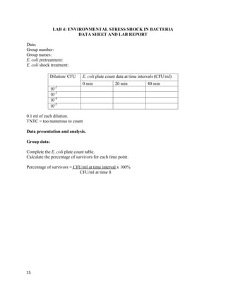 15
LAB 4: ENVIRONMENTAL STRESS SHOCK IN BACTERIA
DATA SHEET AND LAB REPORT
Date:
Group number:
Group names:
E. coli pretreatment:
E. coli shock treatment:
0.1 ml of each dilution.
TNTC = too numerous to count
Data presentation and analysis.
Group data:
Complete the E. coli plate count table.
Calculate the percentage of survivors for each time point.
Percentage of survivors = CFU/ml at time interval x 100%
CFU/ml at time 0
Dilution/ CFU E. coli plate count data at time intervals (CFU/ml)
0 min 20 min 40 min
10-2
10-3
10-4
10-5
 