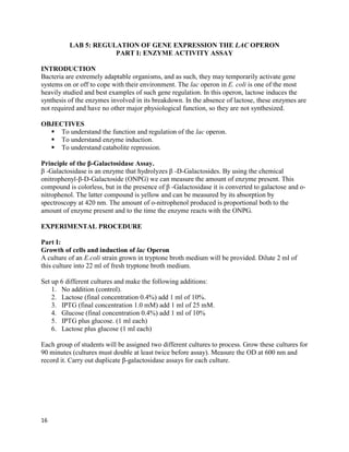 16
LAB 5: REGULATION OF GENE EXPRESSION THE LAC OPERON
PART I: ENZYME ACTIVITY ASSAY
INTRODUCTION
Bacteria are extremely adaptable organisms, and as such, they may temporarily activate gene
systems on or off to cope with their environment. The lac operon in E. coli is one of the most
heavily studied and best examples of such gene regulation. In this operon, lactose induces the
synthesis of the enzymes involved in its breakdown. In the absence of lactose, these enzymes are
not required and have no other major physiological function, so they are not synthesized.
OBJECTIVES
 To understand the function and regulation of the lac operon.
 To understand enzyme induction.
 To understand catabolite repression.
Principle of the β-Galactosidase Assay.
β -Galactosidase is an enzyme that hydrolyzes β -D-Galactosides. By using the chemical
onitrophenyl-β-D-Galactoside (ONPG) we can measure the amount of enzyme present. This
compound is colorless, but in the presence of β -Galactosidase it is converted to galactose and o-
nitrophenol. The latter compound is yellow and can be measured by its absorption by
spectroscopy at 420 nm. The amount of o-nitrophenol produced is proportional both to the
amount of enzyme present and to the time the enzyme reacts with the ONPG.
EXPERIMENTAL PROCEDURE
Part I:
Growth of cells and induction of lac Operon
A culture of an E.coli strain grown in tryptone broth medium will be provided. Dilute 2 ml of
this culture into 22 ml of fresh tryptone broth medium.
Set up 6 different cultures and make the following additions:
1. No addition (control).
2. Lactose (final concentration 0.4%) add 1 ml of 10%.
3. IPTG (final concentration 1.0 mM) add 1 ml of 25 mM.
4. Glucose (final concentration 0.4%) add 1 ml of 10%
5. IPTG plus glucose. (1 ml each)
6. Lactose plus glucose (1 ml each)
Each group of students will be assigned two different cultures to process. Grow these cultures for
90 minutes (cultures must double at least twice before assay). Measure the OD at 600 nm and
record it. Carry out duplicate β-galactosidase assays for each culture.
 