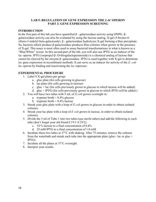 18
LAB 5: REGULATION OF GENE EXPRESSION THE LAC OPERON
PART 2: GENE EXPRESSION SCREENING
INTRODUCTION
In the first part of this lab you have quantified β - galactosidase activity using ONPG. β-
galactosidase activity can also be evaluated by using the lactose analog, X-gal (5-bromo-4-
chloro-3-indolyl-beta-galactoside). β - galactosidase hydrolyzes X-gal forming a blue precipitate.
So, bacteria which produce β-galactosidase produces blue colonies when grown in the presence
of X-gal. This assay is most often used to assay bacterial transformations in what is known as a
“Blue/White” screen. In this second part of the lab, you will also use IPTG as an inducer of the
lac operon. IPTG (isopropyl-β -D-thiogalactopyranoside) is a chemical analog of lactose that
cannot be cleaved by the enzyme β -galactosidase. IPTG is used together with X-gal to determine
lac gene expression in recombinant methods. It can serve as an inducer for activity of the E. coli
lac operon by binding and inactivating the lac repressor.
EXPERIMENTAL PROCEDURE
1. Label 4 X-gal plates per group:
a. gluc plate (for cells growing in glucose)
b. lac plate (for cells growing in lactose)
c. gluc + lac (for cells previously grown in glucose to which lactose will be added)
d. gluc + IPTG (for cells previously grown in glucose to which IPTG will be added.)
2. You will have two tubes with 5 mL of E.coli grown overnight in:
a. tryptone broth + 0.4% glucose
b. tryptone broth + 0.4% lactose
3. Streak your gluc plate with a loop of E coli grown in glucose in order to obtain isolated
colonies.
4. Streak your lac plate with a loop of E coli grown in lactose, in order to obtain isolated
colonies.
5. Divide the 5 ml of Tube 1 into two tubes (use sterile tubes) and add the following to each
tube (don’t forget your old friend C1V1=C2V2):
c. 10 % lactose to a final concentration of 0.4%
d. 25 mM IPTG to a final concentration of 1.0 mM
6. Incubate these two tubes at 37°C with shaking. After 75 minutes, remove the cultures
from the waterbath and streak each tube into the appropriate plate (gluc+ lac or gluc +
IPTG).
7. Incubate all the plates at 37°C overnight.
8. Interpret your results.
 
