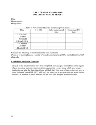 27
LAB 7: GENETIC ENGINEERING
DATA SHEET AND LAB REPORT
Date:
Group number:
Group names:
Table 1. Plate counts of bacteria on various growth media.
Plate # of CFU Color under normal
light
Color under UV
light
+ PLASMID
LB/AMP
+ PLASMID
LB/AMP/ARA
- PLASMID
LB/AMP
- PLASMID LB
Calculate the efficiency of transformation for your experiment
(Number of glowing bacteria / number of non-glowing bacteria X 100%) for the LB/AMA/ARA
plate only.
Extra credit assignment (5 points)
Once all of the transformations have been completed, work design a plasmid that carries a gene
of your choosing. Indicate which restriction enzymes that you are using, which gene you are
cloning in, and what the final plasmid map will look like. Your gene of interest does not have to
be an “indicator” gene (GFP, BFP, YFP, etc), but rather can be any gene that you would like to
include. List it out on an email with aPe file that have your designed plasmid attached.
 