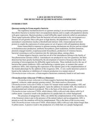 28
LAB 8: QUORUM SENSING:
THE DETECTION OF QUORUM-SENSING COMPOUNDS
INTRODUCTION
Quorum sensing in Gram-negative bacteria
The regulatory mechanism known as quorum sensing is an environmental sensing system
that allows bacteria to monitor their own population density and to couple cell population density
with gene expression. Bacteria produce a small diffusible signal molecule called an autoinducer.
These signal molecules diffuse from the bacterial cell and accumulate in the environment as a
function of cell growth. Once cells grow to high density, the population is "quorate"; the
autoinducer concentration reaches a threshold and interacts with a transcriptional activator
protein to couple the expression of certain genes (or set of genes) with cell population density.
Genes transcribed in response to quorum-sensing mechanisms are diverse and are related
to bioluminescence production, antibiotic biosynthesis, plant nodulation, biofilm formation,
plasmid conjugal transfer, exopolysaccaride biosynthesis, production of virulence factors,
bacterial swarming as well as transition into the stationary phase, among others.
In Gram-negative bacteria, most but not all of the autoinducers belong to the family of
Nacylhomoserine lactones (AHLs). Autoinducers are produced in very low quantities, but their
detection has been greatly facilitated by the development of sensitive bioassays that allow fast
screening of microorganisms for diffusible signal molecules. These methods involve the use of
bacteria that cannot synthesize AHLs and harboring a reporter gene, or mutants that cannot
synthesize AHLs, thus requiring the expression of the reporter gene or the complementation of
the mutant phenotype by the addition of the exogenous AHL. A very useful detection system is
based on the induction or inhibition of violacein production in a mutant strain of
Chromobacterium violaceum, a Gram-negative bacterium commonly found in soil and water.
Chromobacterium violaceum CV026 as a biosensor:
Chromobacterium violaceum is a Gram-negative bacterium that produces a purple
pigment, violacein, under quorum sensing control. The strain used as a biosensor,
Chromobacterium violaceum CV026, is a mini-Tn5 mutant strain unable to produce AHL and
thus unable to produce the purple pigment. Upon the addition of external AHL, the mutation is
complemented and violacein is produced. This is the basis of the direct assay with
Chromobacterium violaceum CV026, which detects AHLs with acyl-side chains with 4 to 8
carbon atoms. A positive result is the production of a purple halo on a white background.
The presence of antagonistic AHLs can inhibit the complementation of the mutation. So,
if the biosensor strain is put in the presence of the natural inducer and an antagonistic AHL is
present as well, the mutation will not be complemented. This is the basis of the reverse assay
with Chromobacterium violaceum CV026, which detects AHLs with acyl side chains longer than
8 carbon atoms. A positive result is the production of a while halo on a purple background.
 