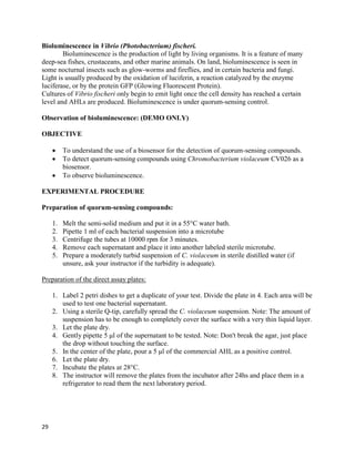 29
Bioluminescence in Vibrio (Photobacterium) fischeri.
Bioluminescence is the production of light by living organisms. It is a feature of many
deep-sea fishes, crustaceans, and other marine animals. On land, bioluminescence is seen in
some nocturnal insects such as glow-worms and fireflies, and in certain bacteria and fungi.
Light is usually produced by the oxidation of luciferin, a reaction catalyzed by the enzyme
luciferase, or by the protein GFP (Glowing Fluorescent Protein).
Cultures of Vibrio fischeri only begin to emit light once the cell density has reached a certain
level and AHLs are produced. Bioluminescence is under quorum-sensing control.
Observation of bioluminescence: (DEMO ONLY)
OBJECTIVE
 To understand the use of a biosensor for the detection of quorum-sensing compounds.
 To detect quorum-sensing compounds using Chromobacterium violaceum CV026 as a
biosensor.
 To observe bioluminescence.
EXPERIMENTAL PROCEDURE
Preparation of quorum-sensing compounds:
1. Melt the semi-solid medium and put it in a 55°C water bath.
2. Pipette 1 ml of each bacterial suspension into a microtube
3. Centrifuge the tubes at 10000 rpm for 3 minutes.
4. Remove each supernatant and place it into another labeled sterile microtube.
5. Prepare a moderately turbid suspension of C. violaceum in sterile distilled water (if
unsure, ask your instructor if the turbidity is adequate).
Preparation of the direct assay plates:
1. Label 2 petri dishes to get a duplicate of your test. Divide the plate in 4. Each area will be
used to test one bacterial supernatant.
2. Using a sterile Q-tip, carefully spread the C. violaceum suspension. Note: The amount of
suspension has to be enough to completely cover the surface with a very thin liquid layer.
3. Let the plate dry.
4. Gently pipette 5 μl of the supernatant to be tested. Note: Don't break the agar, just place
the drop without touching the surface.
5. In the center of the plate, pour a 5 μl of the commercial AHL as a positive control.
6. Let the plate dry.
7. Incubate the plates at 28°C.
8. The instructor will remove the plates from the incubator after 24hs and place them in a
refrigerator to read them the next laboratory period.
 