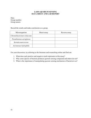 31
LAB 8: QUORUM SENSING
DATA SHEET AND LAB REPORT
Date:
Group number:
Group names:
Record the results and make conclusions as a group.
Microorganism Direct assay Reverse assay
Chromobacterium violaceum
Pseudomonas aeruginosa
Serratia marcescens
Aeromonas hydrophila
For your discussion, try referring to the literature and researching online and find out
1. What does each positive and negative result represents in this assay?
2. Why some species of bacteria produces quorum sensing compound and others do not?
3. What is the importance of manipulating quorum sensing mechanism of bacteria to us?
 