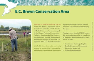 Adjacent to the Welland River, the six-
hectare E.C. Brown Conservation Area is
located seven kilometres outside the city
of Welland. It is one of 36 areas managed
by the Niagara Peninsula Conservation
Authority. A major goal of the Conserva-
tion Authority is to double the amount of
wetland cover managed on their lands.The
expansion of the E.C. Brown Conservation
Area to include an 8.5-hectare restored
wetland is a key addition toward achieving
that goal.
Funding received from the HWHC partner-
ship has been instrumental in the completion
of this project. Improvements carried out at
the site included:
•	 Construction of a new parking lot;
•	 Boardwalk repairs and development;
•	 Interpretive signage; and
•	 Trailhead/partner signage.
E.C. Brown Conservation Area
Left: The E.C. Brown Conservation Area is being
prepared for construction of a boardwalk that
will lead visitors through a series of ecosystems.
killdeer:BrianWolitskiothers:NiagaraPeninsulaConservationAuthority
 